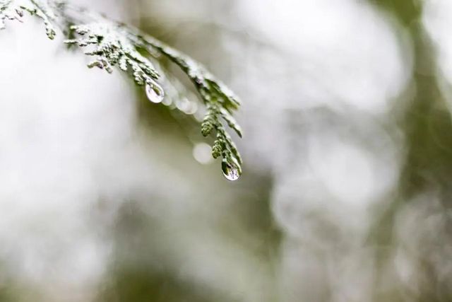 空氣濕度大帶來的危害有哪些，你知道嗎？