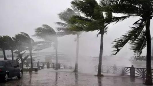 8月臺風(fēng)雨即將來，除濕機還得用起來