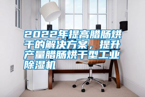 2022年提高臘腸烘干的解決方案，提升產(chǎn)量臘腸烘干型工業(yè)除濕機(jī)