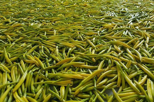 無(wú)硫金針菜烘干如何保持品相？不發(fā)黑？_除濕機(jī)廠家