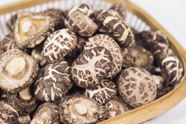 干貨倉庫怎么利用除濕機(jī)保持干爽？