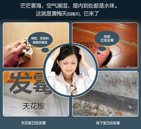 家庭別墅的地下室、衛(wèi)生間、儲物室等該如何除濕？