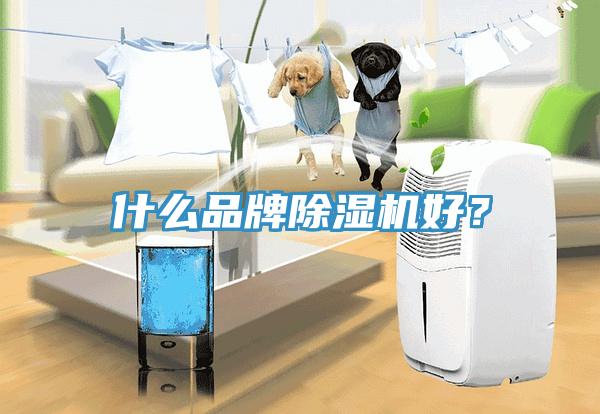 什么品牌除濕機(jī)好？