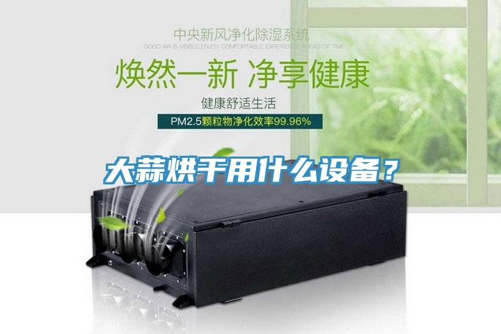 大蒜烘干用什么設(shè)備？