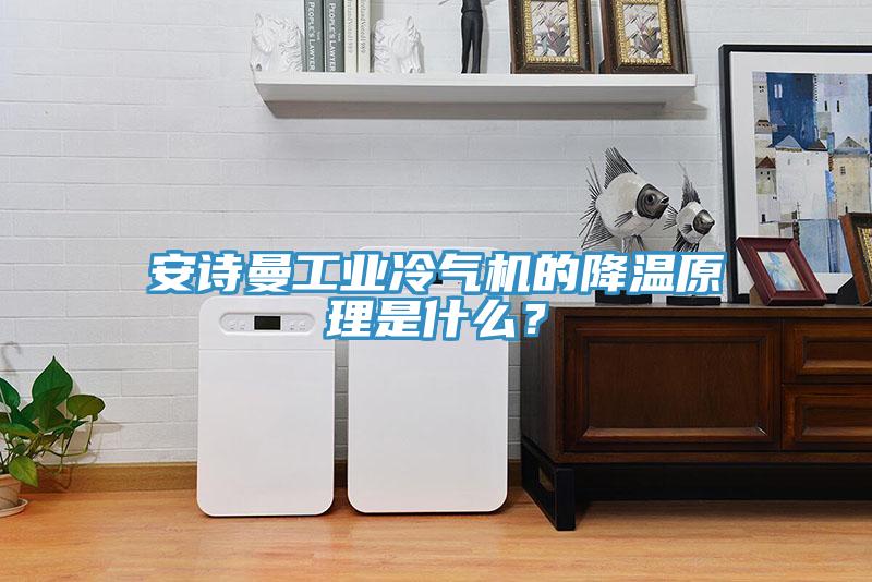 安詩(shī)曼工業(yè)冷氣機(jī)的降溫原理是什么？