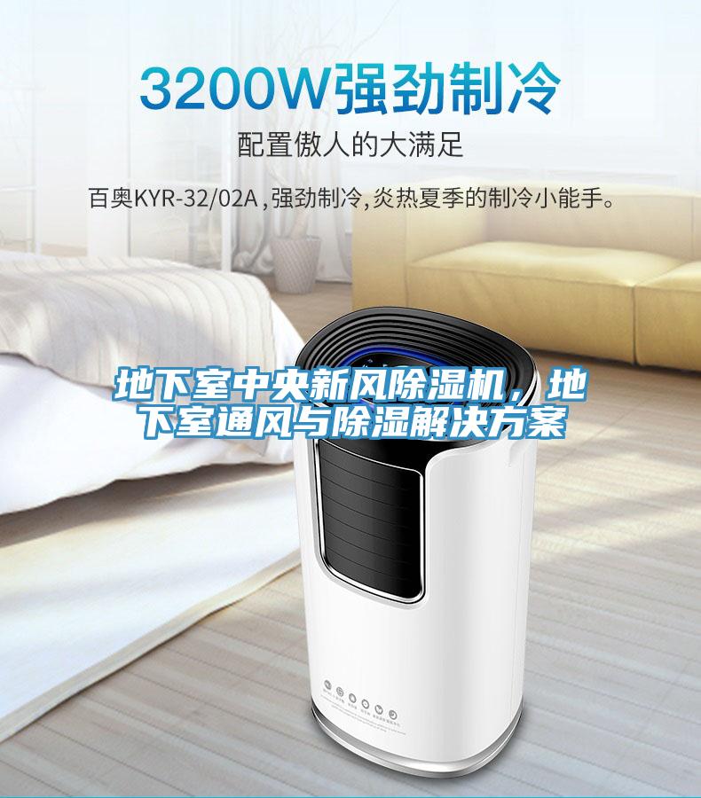 地下室中央新風(fēng)除濕機(jī)，地下室通風(fēng)與除濕解決方案