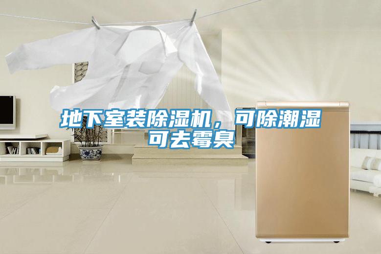 地下室裝除濕機(jī)，可除潮濕可去霉臭