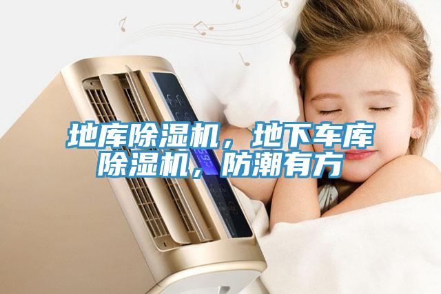 地庫(kù)除濕機(jī)，地下車庫(kù)除濕機(jī)，防潮有方