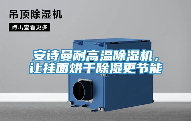 安詩(shī)曼耐高溫除濕機(jī)，讓掛面烘干除濕更節(jié)能