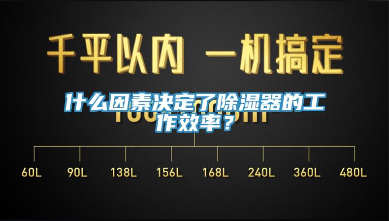 什么因素決定了除濕器的工作效率？