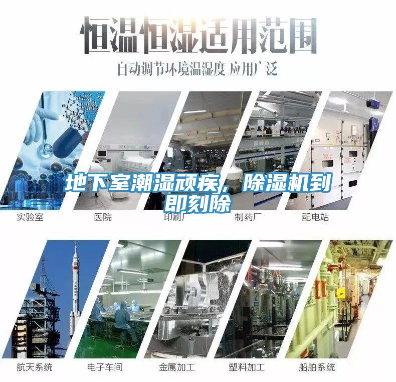 地下室潮濕頑疾，除濕機(jī)到即刻除