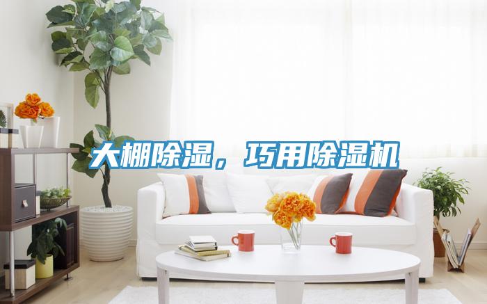大棚除濕，巧用除濕機