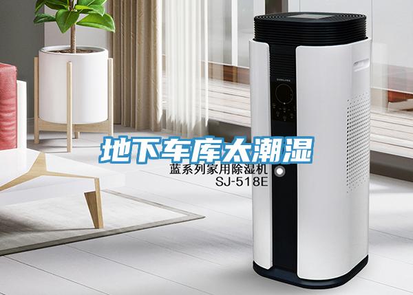 地下車(chē)庫(kù)太潮濕