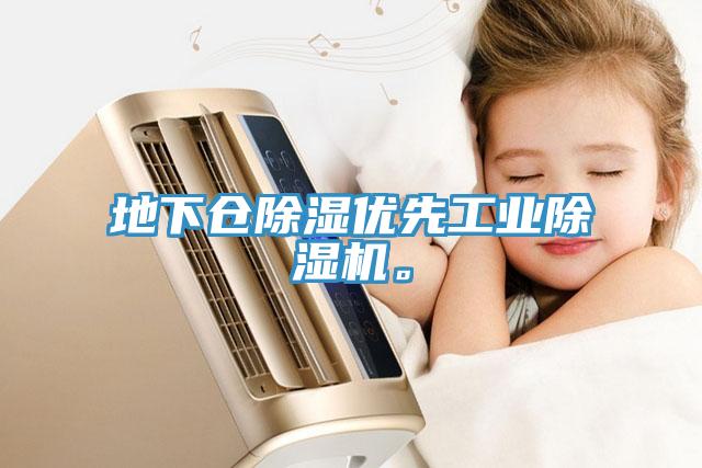 地下倉除濕優(yōu)先工業(yè)除濕機(jī)。