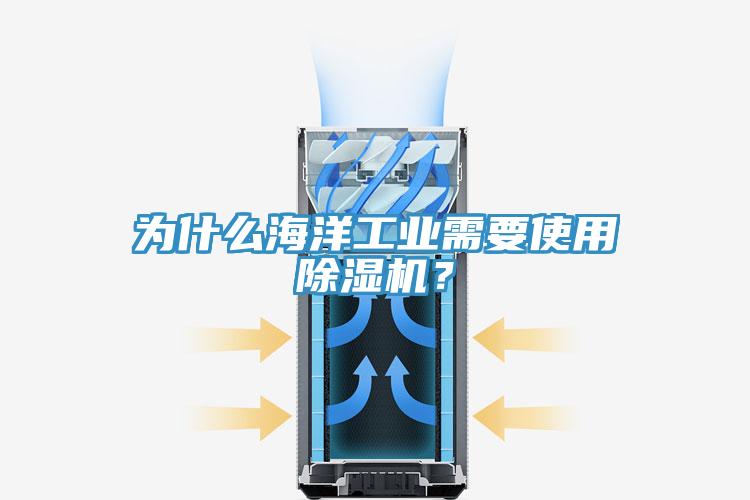 為什么海洋工業(yè)需要使用除濕機(jī)？