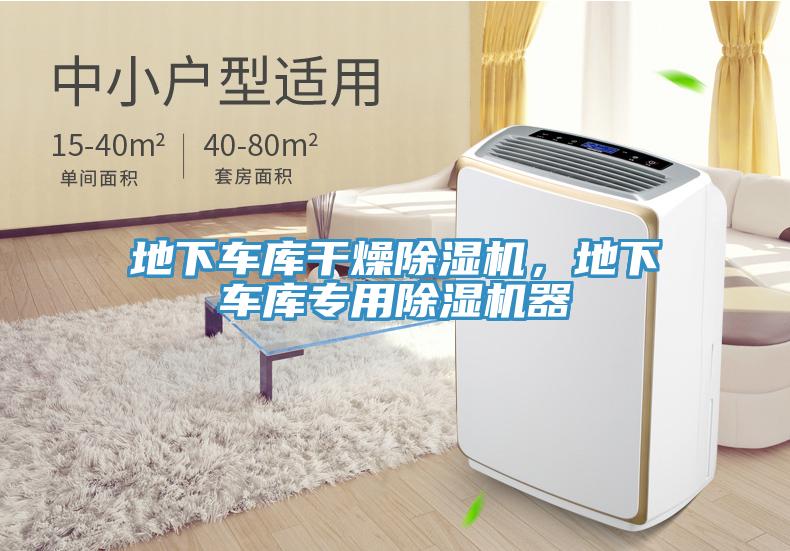 地下車(chē)庫(kù)干燥除濕機(jī)，地下車(chē)庫(kù)專(zhuān)用除濕機(jī)器
