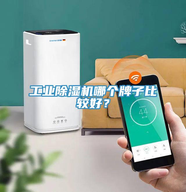 工業(yè)除濕機(jī)哪個(gè)牌子比較好？