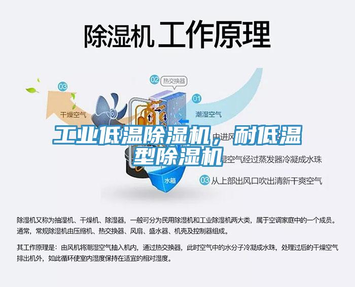 工業(yè)低溫除濕機(jī)，耐低溫型除濕機(jī)