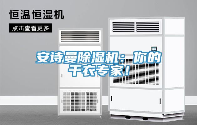 安詩曼除濕機：你的干衣專家！
