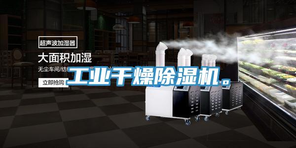 工業(yè)干燥除濕機(jī)。