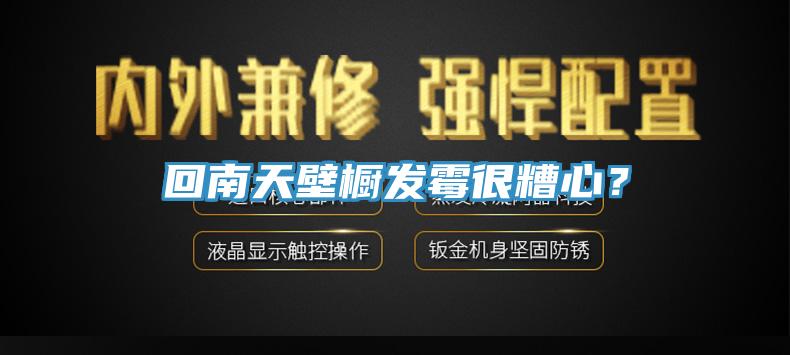回南天壁櫥發(fā)霉很糟心？