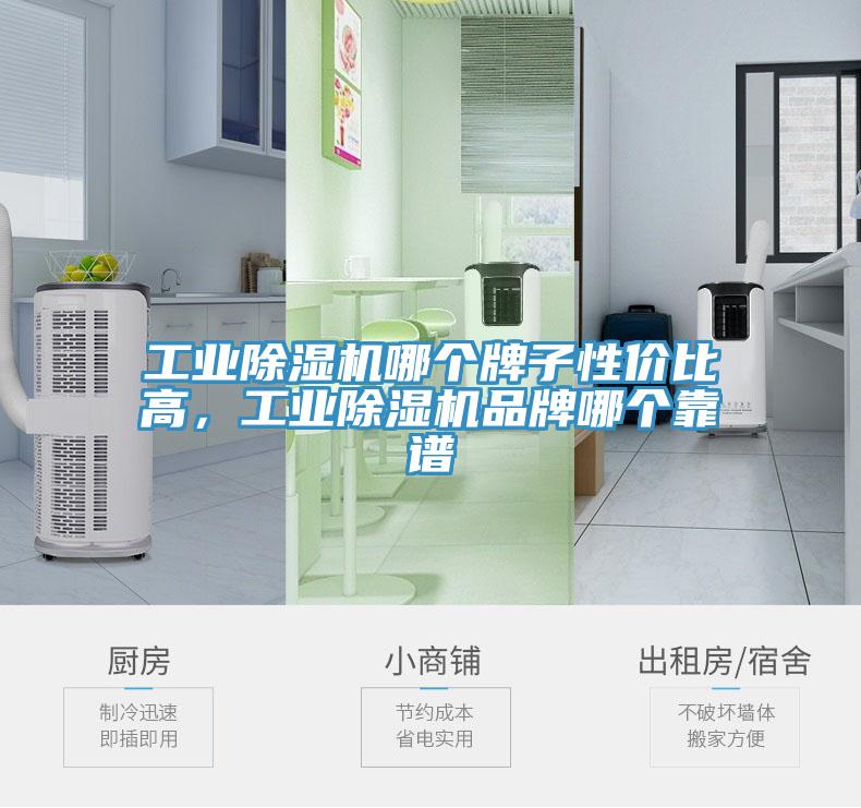 工業(yè)除濕機(jī)哪個(gè)牌子性價(jià)比高，工業(yè)除濕機(jī)品牌哪個(gè)靠譜