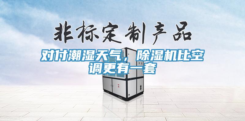 對(duì)付潮濕天氣，除濕機(jī)比空調(diào)更有一套