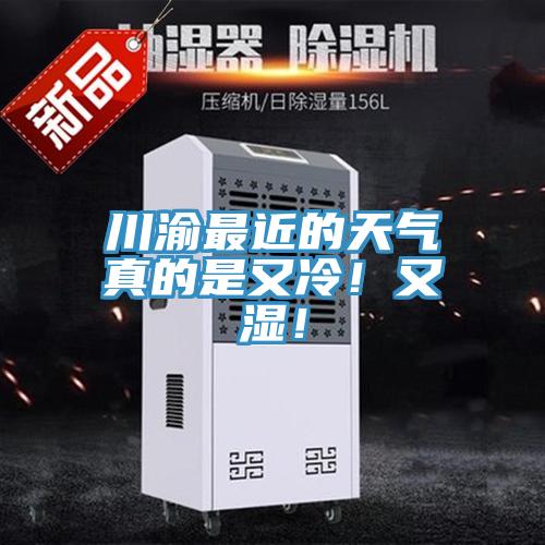 川渝最近的天氣真的是又冷！又濕！