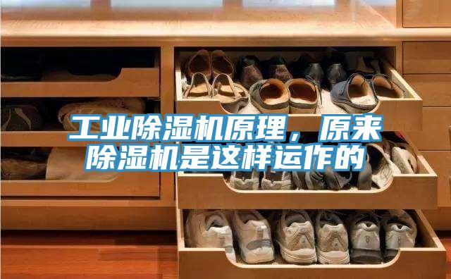 工業(yè)除濕機原理，原來除濕機是這樣運作的
