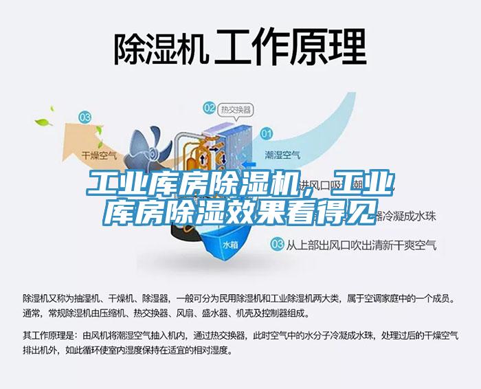 工業(yè)庫(kù)房除濕機(jī)，工業(yè)庫(kù)房除濕效果看得見(jiàn)