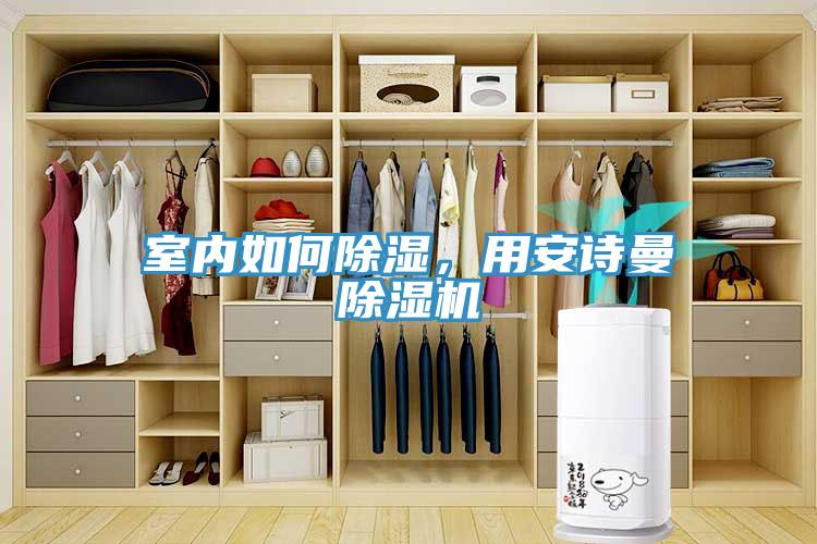 室內如何除濕，用安詩曼除濕機