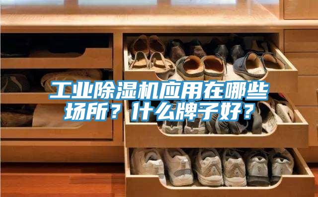 工業(yè)除濕機應用在哪些場所？什么牌子好？