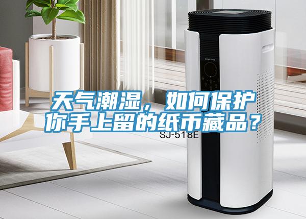 天氣潮濕，如何保護(hù)你手上留的紙幣藏品？