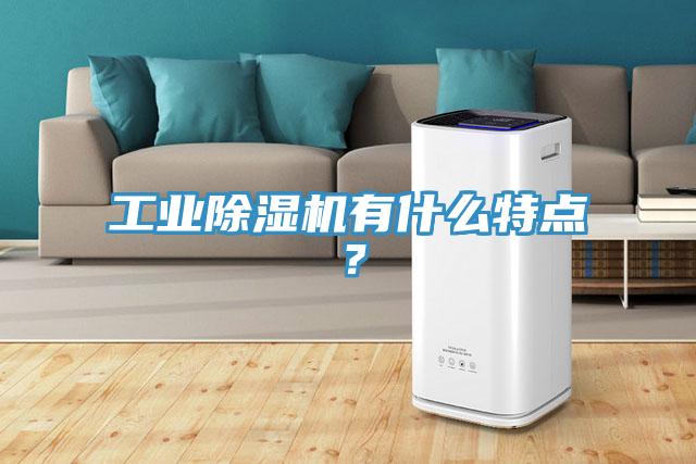工業(yè)除濕機(jī)有什么特點(diǎn)？
