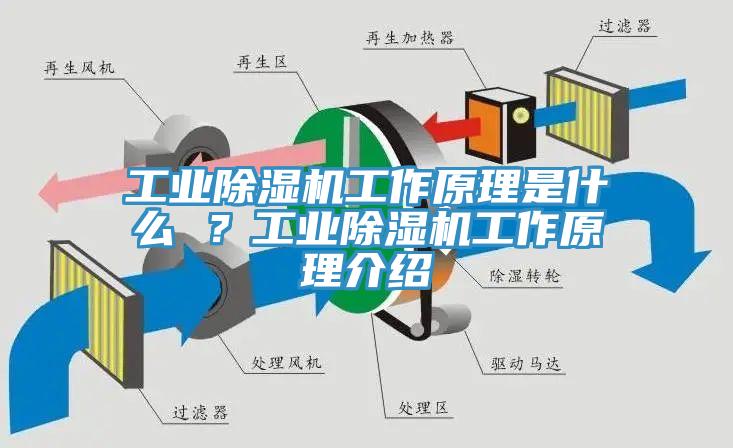 工業(yè)除濕機(jī)工作原理是什么 ？工業(yè)除濕機(jī)工作原理介紹