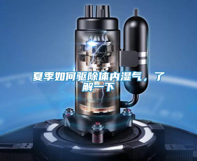 夏季如何驅(qū)除體內(nèi)濕氣，了解一下