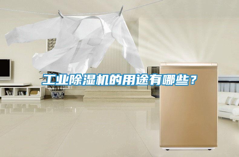 工業(yè)除濕機(jī)的用途有哪些？