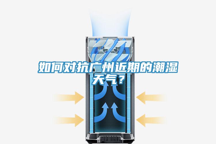 如何對(duì)抗廣州近期的潮濕天氣？