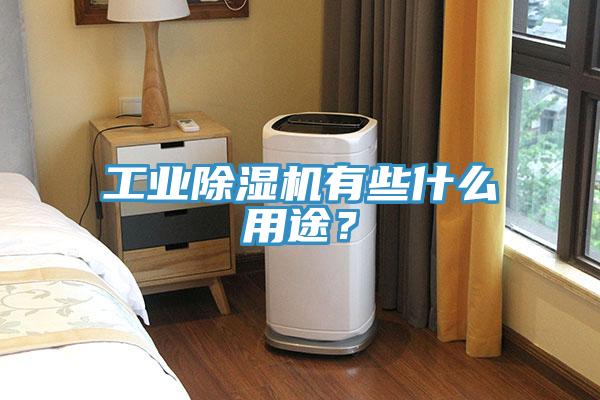 工業(yè)除濕機有些什么用途？
