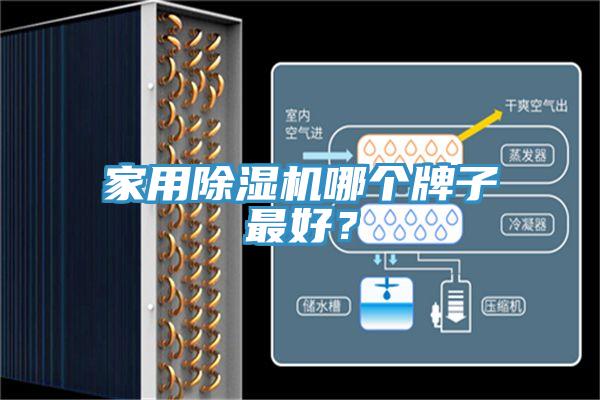 家用除濕機哪個牌子最好？