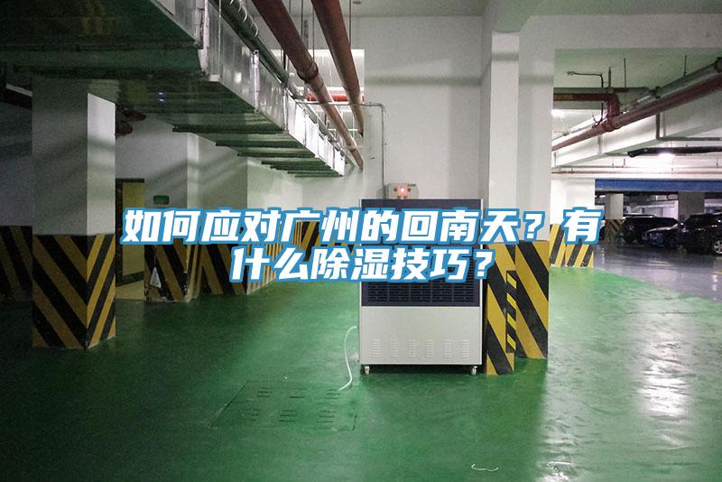 如何應對廣州的回南天？有什么除濕技巧？