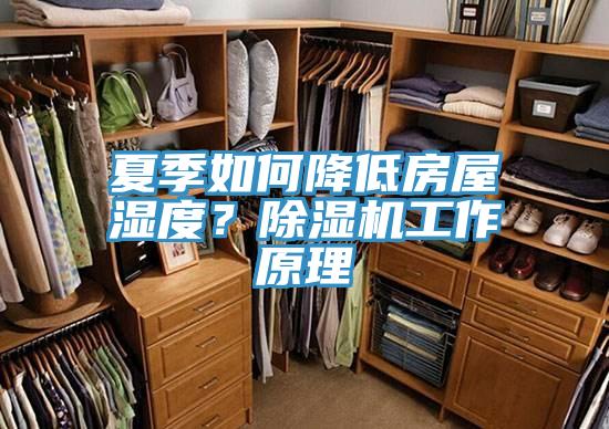 夏季如何降低房屋濕度？除濕機(jī)工作原理