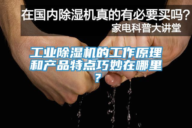 工業(yè)除濕機的工作原理和產(chǎn)品特點巧妙在哪里？