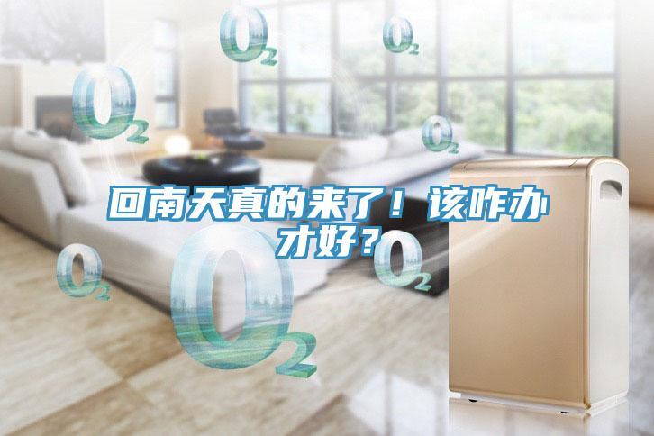 回南天真的來(lái)了！該咋辦才好？