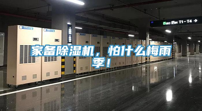 家備除濕機(jī)，怕什么梅雨季！