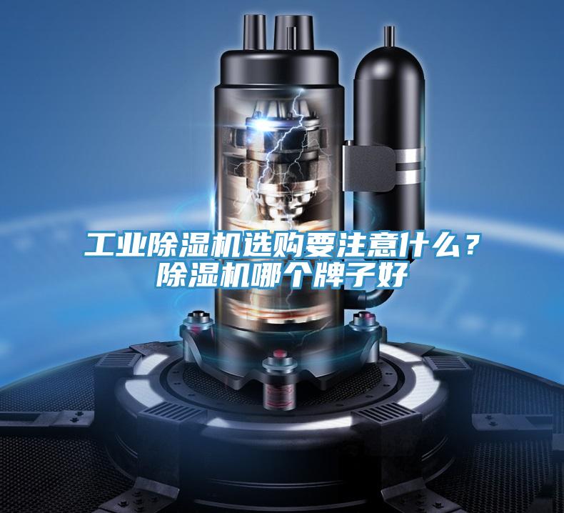 工業(yè)除濕機選購要注意什么？除濕機哪個牌子好