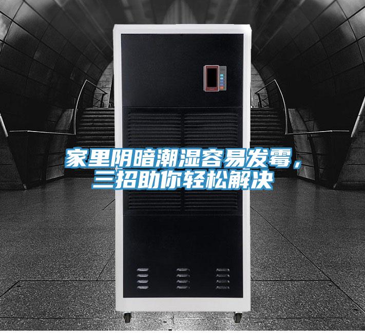 家里陰暗潮濕容易發(fā)霉，三招助你輕松解決