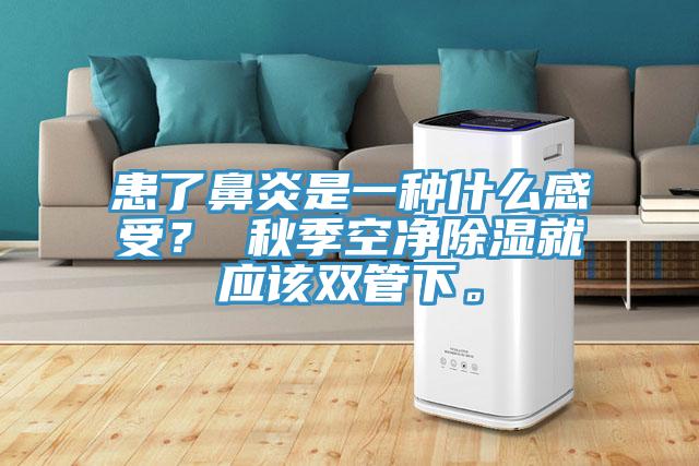 患了鼻炎是一種什么感受？ 秋季空凈除濕就應(yīng)該雙管下。