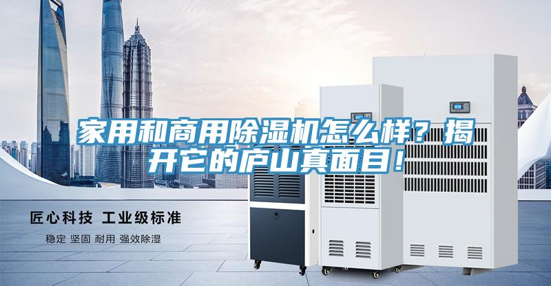 家用和商用除濕機(jī)怎么樣？揭開它的廬山真面目！