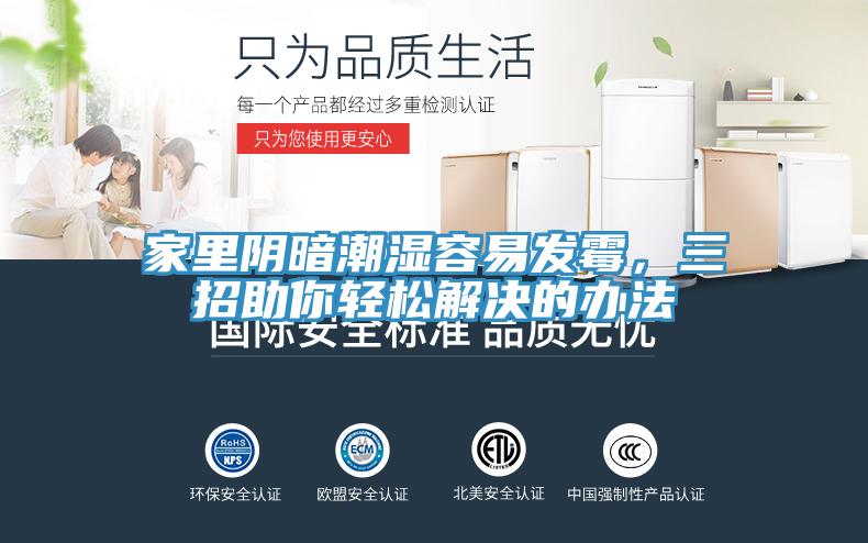 家里陰暗潮濕容易發(fā)霉，三招助你輕松解決的辦法